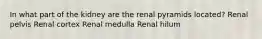 In what part of the kidney are the renal pyramids located? Renal pelvis Renal cortex Renal medulla Renal hilum