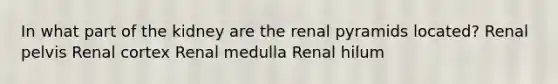 In what part of the kidney are the renal pyramids located? Renal pelvis Renal cortex Renal medulla Renal hilum