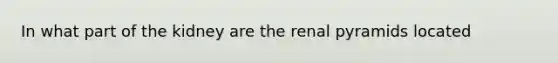 In what part of the kidney are the renal pyramids located