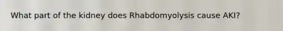 What part of the kidney does Rhabdomyolysis cause AKI?