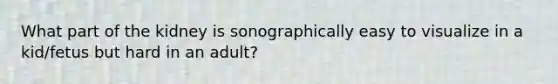 What part of the kidney is sonographically easy to visualize in a kid/fetus but hard in an adult?