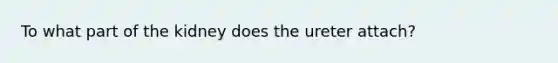 To what part of the kidney does the ureter attach?