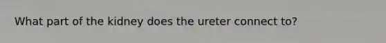 What part of the kidney does the ureter connect to?