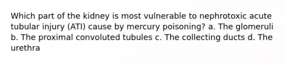 Which part of the kidney is most vulnerable to nephrotoxic acute tubular injury (ATI) cause by mercury poisoning? a. The glomeruli b. The proximal convoluted tubules c. The collecting ducts d. The urethra