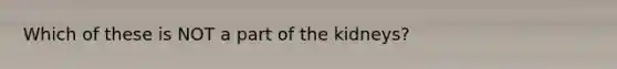 Which of these is NOT a part of the kidneys?