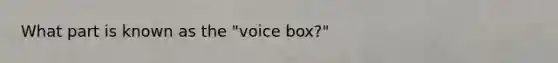 What part is known as the "voice box?"