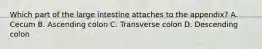 Which part of the large intestine attaches to the appendix? A. Cecum B. Ascending colon C. Transverse colon D. Descending colon