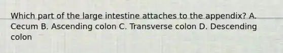 Which part of the <a href='https://www.questionai.com/knowledge/kGQjby07OK-large-intestine' class='anchor-knowledge'>large intestine</a> attaches to the appendix? A. Cecum B. Ascending colon C. Transverse colon D. Descending colon