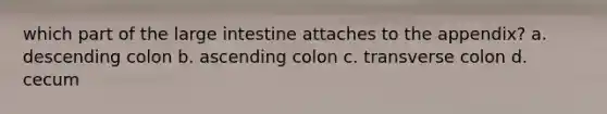 which part of the large intestine attaches to the appendix? a. descending colon b. ascending colon c. transverse colon d. cecum