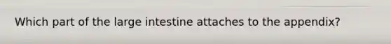 Which part of the <a href='https://www.questionai.com/knowledge/kGQjby07OK-large-intestine' class='anchor-knowledge'>large intestine</a> attaches to the appendix?