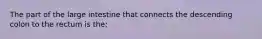 The part of the large intestine that connects the descending colon to the rectum is the: