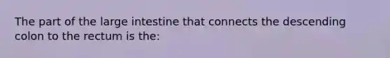 The part of the large intestine that connects the descending colon to the rectum is the: