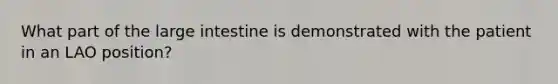 What part of the large intestine is demonstrated with the patient in an LAO position?