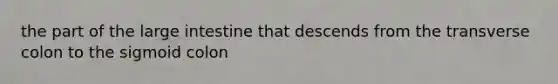 the part of the large intestine that descends from the transverse colon to the sigmoid colon