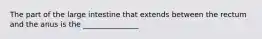 The part of the large intestine that extends between the rectum and the anus is the _______________