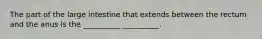 The part of the large intestine that extends between the rectum and the anus is the __________ __________.