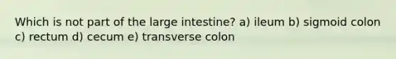 Which is not part of the large intestine? a) ileum b) sigmoid colon c) rectum d) cecum e) transverse colon