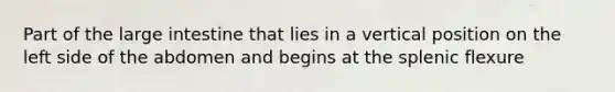 Part of the large intestine that lies in a vertical position on the left side of the abdomen and begins at the splenic flexure