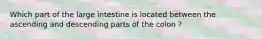 Which part of the large intestine is located between the ascending and descending parts of the colon ?