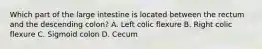 Which part of the large intestine is located between the rectum and the descending colon? A. Left colic flexure B. Right colic flexure C. Sigmoid colon D. Cecum