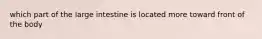 which part of the large intestine is located more toward front of the body