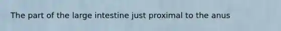 The part of the <a href='https://www.questionai.com/knowledge/kGQjby07OK-large-intestine' class='anchor-knowledge'>large intestine</a> just proximal to the anus