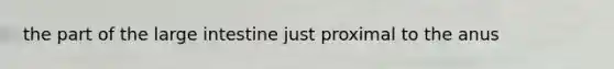 the part of the large intestine just proximal to the anus