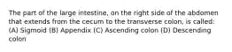The part of the large intestine, on the right side of the abdomen that extends from the cecum to the transverse colon, is called: (A) Sigmoid (B) Appendix (C) Ascending colon (D) Descending colon