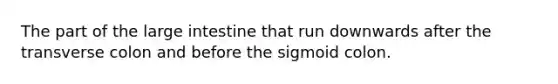 The part of the <a href='https://www.questionai.com/knowledge/kGQjby07OK-large-intestine' class='anchor-knowledge'>large intestine</a> that run downwards after the transverse colon and before the sigmoid colon.