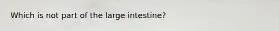 Which is not part of the <a href='https://www.questionai.com/knowledge/kGQjby07OK-large-intestine' class='anchor-knowledge'>large intestine</a>?