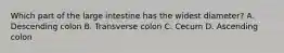 Which part of the large intestine has the widest diameter? A. Descending colon B. Transverse colon C. Cecum D. Ascending colon