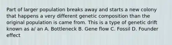 Part of larger population breaks away and starts a new colony that happens a very different genetic composition than the original population is came from. This is a type of genetic drift known as a/ an A. Bottleneck B. Gene flow C. Fossil D. Founder effect