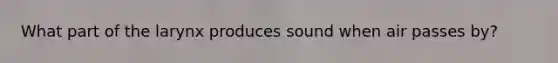 What part of the larynx produces sound when air passes by?