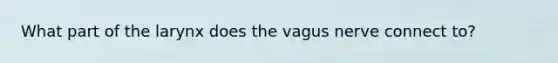 What part of the larynx does the vagus nerve connect to?