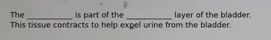 The ____________ is part of the ____________ layer of the bladder. This tissue contracts to help expel urine from the bladder.