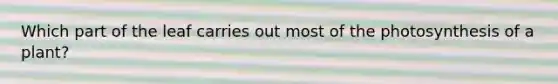 Which part of the leaf carries out most of the photosynthesis of a plant?