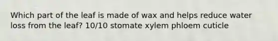 Which part of the leaf is made of wax and helps reduce water loss from the leaf? 10/10 stomate xylem phloem cuticle