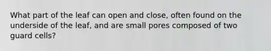 What part of the leaf can open and close, often found on the underside of the leaf, and are small pores composed of two guard cells?