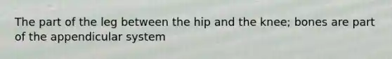 The part of the leg between the hip and the knee; bones are part of the appendicular system