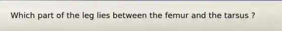 Which part of the leg lies between the femur and the tarsus ?