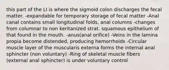 this part of the LI is where the sigmoid colon discharges the fecal matter. -expandable for temporary storage of fecal matter -Anal canal contains small longitudinal folds, anal columns -changes from columnar to non keritanized strat. squamous epithelium of that found in the mouth. -anus(anal orifice) -Veins in the lamina propia become distended, producing hemorrhoids -Circular muscle layer of the muscularis externa forms the internal anal sphincter (non voluntary) -Ring of skeletal muscle fibers (external anal sphincter) is under voluntary control