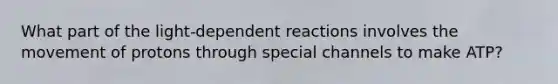 What part of the light-dependent reactions involves the movement of protons through special channels to make ATP?