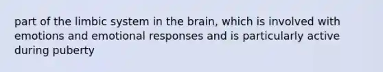 part of <a href='https://www.questionai.com/knowledge/k9XYOa7G2t-the-limbic-system' class='anchor-knowledge'>the limbic system</a> in <a href='https://www.questionai.com/knowledge/kLMtJeqKp6-the-brain' class='anchor-knowledge'>the brain</a>, which is involved with emotions and emotional responses and is particularly active during puberty