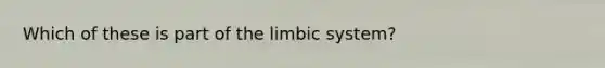 Which of these is part of the limbic system?