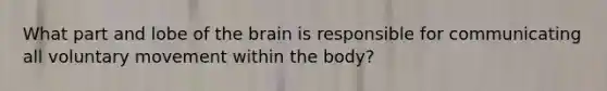 What part and lobe of the brain is responsible for communicating all voluntary movement within the body?