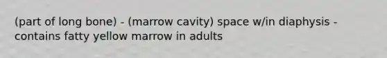 (part of long bone) - (marrow cavity) space w/in diaphysis - contains fatty yellow marrow in adults