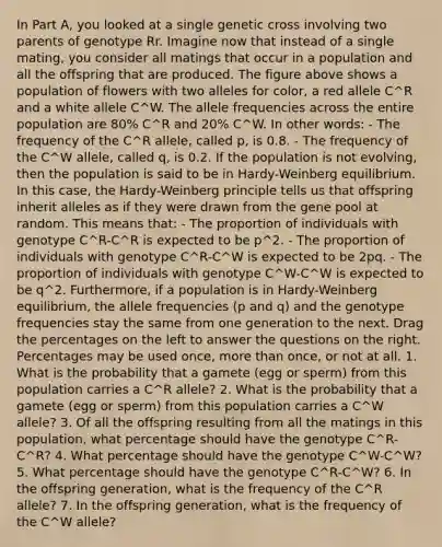 In Part A, you looked at a single genetic cross involving two parents of genotype Rr. Imagine now that instead of a single mating, you consider all matings that occur in a population and all the offspring that are produced. The figure above shows a population of flowers with two alleles for color, a red allele C^R and a white allele C^W. The allele frequencies across the entire population are 80% C^R and 20% C^W. In other words: - The frequency of the C^R allele, called p, is 0.8. - The frequency of the C^W allele, called q, is 0.2. If the population is not evolving, then the population is said to be in Hardy-Weinberg equilibrium. In this case, the Hardy-Weinberg principle tells us that offspring inherit alleles as if they were drawn from the gene pool at random. This means that: - The proportion of individuals with genotype C^R-C^R is expected to be p^2. - The proportion of individuals with genotype C^R-C^W is expected to be 2pq. - The proportion of individuals with genotype C^W-C^W is expected to be q^2. Furthermore, if a population is in Hardy-Weinberg equilibrium, the allele frequencies (p and q) and the genotype frequencies stay the same from one generation to the next. Drag the percentages on the left to answer the questions on the right. Percentages may be used once, <a href='https://www.questionai.com/knowledge/keWHlEPx42-more-than' class='anchor-knowledge'>more than</a> once, or not at all. 1. What is the probability that a gamete (egg or sperm) from this population carries a C^R allele? 2. What is the probability that a gamete (egg or sperm) from this population carries a C^W allele? 3. Of all the offspring resulting from all the matings in this population, what percentage should have the genotype C^R-C^R? 4. What percentage should have the genotype C^W-C^W? 5. What percentage should have the genotype C^R-C^W? 6. In the offspring generation, what is the frequency of the C^R allele? 7. In the offspring generation, what is the frequency of the C^W allele?
