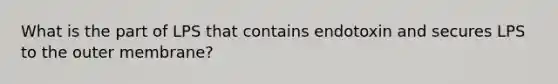 What is the part of LPS that contains endotoxin and secures LPS to the outer membrane?