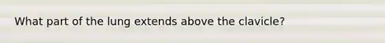 What part of the lung extends above the clavicle?