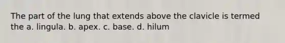 The part of the lung that extends above the clavicle is termed the a. lingula. b. apex. c. base. d. hilum